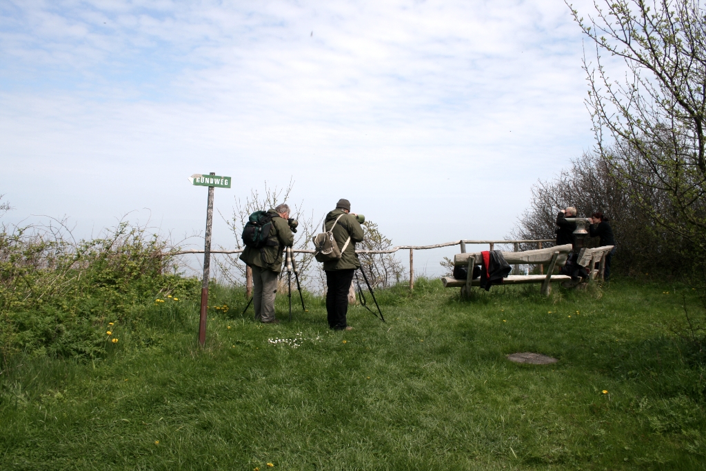 VWG vogelreis Oost Duitsland mei 2010 234